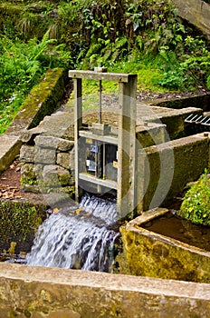 Levada da Portela, Madeira, Portugal photo