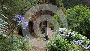 Levada da Rocha Vermelha , Madeira