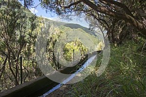 Levada das 25 fontes, irrigation canal detail view, touristic hiking trail, Rabacal, Madeira island, Portugal