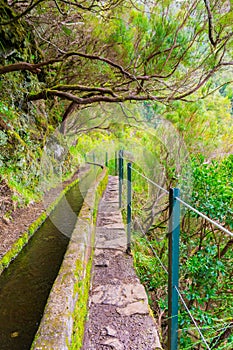 Levada das 25 fontes and levada do risco