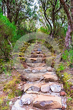 Levada das 25 fontes and levada do risco