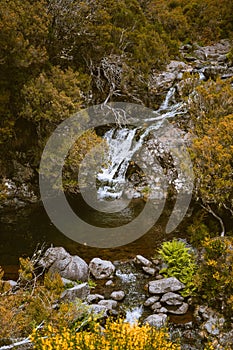 Levada das 25 Fontes and Risco waterfall, Madeira photo