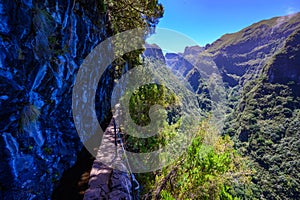 Levada do CaldeirÃ£o - hiking path in the forest in Levada do Caldeirao Verde Trail - tropical scenery on Madeira island, Portugal