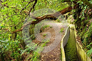 Levada do Norte, Madeira island - Portugal