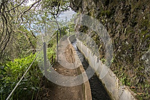 Levada Forado, touristic hiking trail, Ribeiro Frio, Madeira island, Portugal