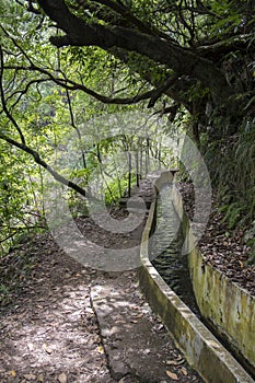 Levada Forado, touristic hiking trail, Ribeiro Frio, Madeira island, Portugal