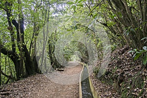 Levada Forado, touristic hiking trail, Ribeiro Frio, Madeira island, Portugal