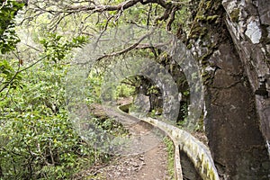 Levada Forado, touristic hiking trail, Ribeiro Frio, Madeira island, Portugal