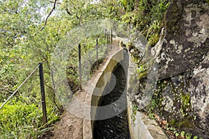 Levada Forado, touristic hiking trail, Ribeiro Frio, Madeira island, Portugal photo