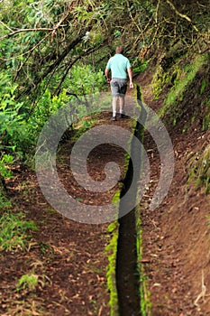 Levada hiking Madeira