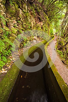 Levada Irrigation Canal