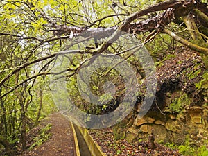 Levada on Madeira