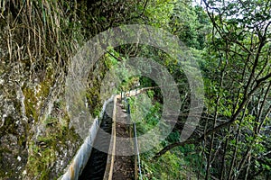 Levada Ribeiro Frio-Portela