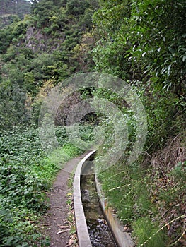 Levadas in Ponta Do Sol