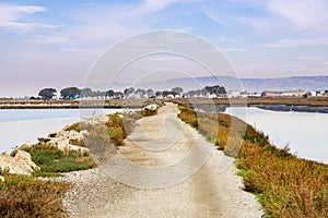 Levee on the marshes of East San Francisco bay, Hayward, California