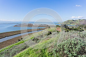 Levees in Don Edwards wildlife refuge, Dumbarton bridge and Coyote Hills Regional Park, Fremont, San Francisco bay area,