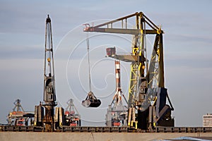 Level Luffing Crane