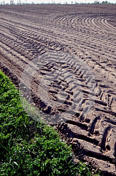 Leveled agricultural field truck wheel mark ground