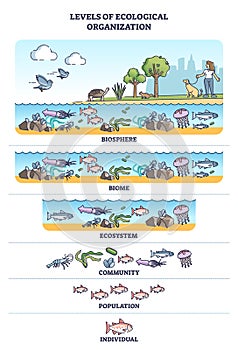 Levels of ecological organization with organism division outline concept