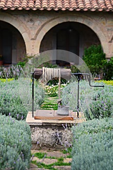 Levender garden and fount. photo