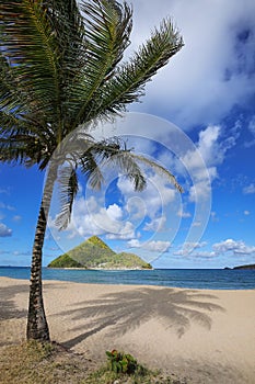 Levera Beach on Grenada Island with a view of Sugar Loaf Island, Grenada photo