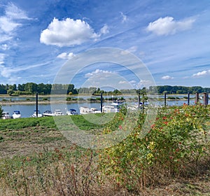 Leverkusen-Hitdorf at Rhine River,Germany