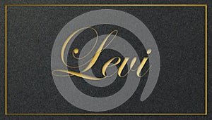 Levi Name Card: Golden Shining Elegance