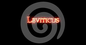 Leviticus written with fire. Loop