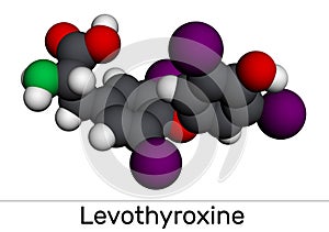Levothyroxine, L-thyroxine, molecule. It is synthetic form of the thyroid hormone thyroxine, T4 hormone, used to treat