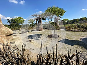 Lewa Savanna landscape - Landschaft von der Lewa Savanne or La savana Lewa - The Zoo ZÃÂ¼rich Zuerich or Zurich, Switzerland photo