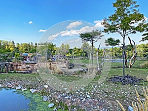 Lewa Savanna landscape - Landschaft von der Lewa Savanne or La savana Lewa - The Zoo ZÃÂ¼rich Zuerich or Zurich, Switzerland photo