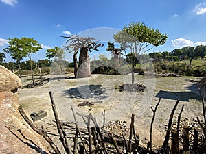 Lewa Savanna landscape - Landschaft von der Lewa Savanne or La savana Lewa - The Zoo ZÃ¼rich Zuerich or Zurich, Switzerland