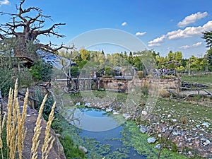 Lewa Savanna landscape - Landschaft von der Lewa Savanne or La savana Lewa - The Zoo ZÃ¼rich Zuerich or Zurich, Switzerland