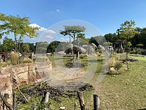 Lewa Savanna landscape - Landschaft von der Lewa Savanne or La savana Lewa - The Zoo ZÃ¼rich Zuerich or Zurich, Switzerland