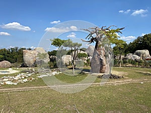 Lewa Savanna landscape - Landschaft von der Lewa Savanne or La savana Lewa - The Zoo ZÃÂ¼rich Zuerich or Zurich, Switzerland photo