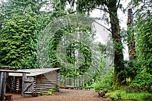 Lewis and Clark& x27;s Fort Clatsop in the Old Growth Forest photo