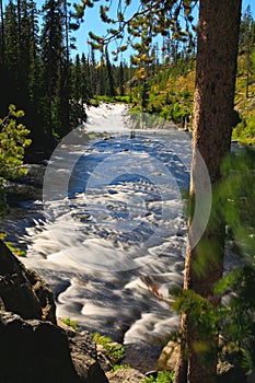 The Lewis Falls in the Yellowstone photo