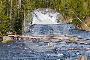 Lewis Falls in Yellowstone National Park