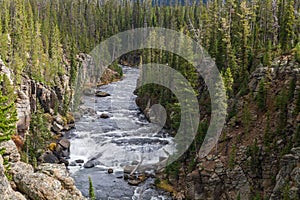 Lewis River Canyon Landscape