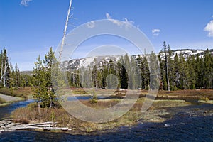 Lewis River at Yellowstone National Park