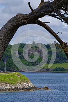 Lews Castle viewed across the Estuary from beneath a Scots Pine Branch under cloudy skies at Stornoway photo