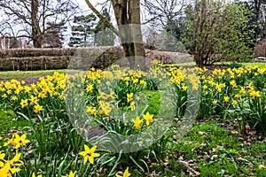 Leyland, Lancashire, England