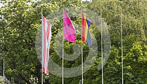 LGBT flag on the pole