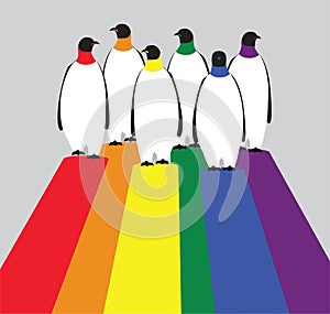 LGBTQI Penguin Cartoon Vector Illustration