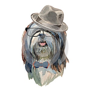 Lhasa apso dog - watercolor realistic isolated hipster dog portrait