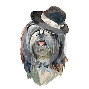 Lhasa apso dog - watercolor realistic isolated hipster dog portrait