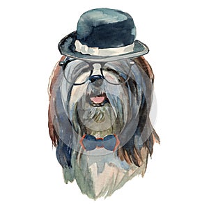 Lhasa apso dog - watercolor realistic isolated hipster dog portrait