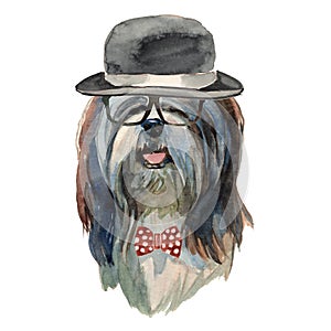 Lhasa apso dog - watercolor realistic isolated hipster dog portrait