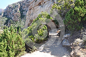 Li Cossi beach Costa Paradiso Sardinia island Italy