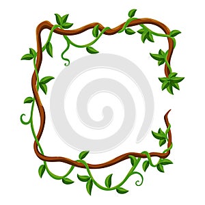 Liana jungle frame. Rainforest liana wild greenery. Cartoon plant, creeper branch. Grass and wood leaf sign. Botany